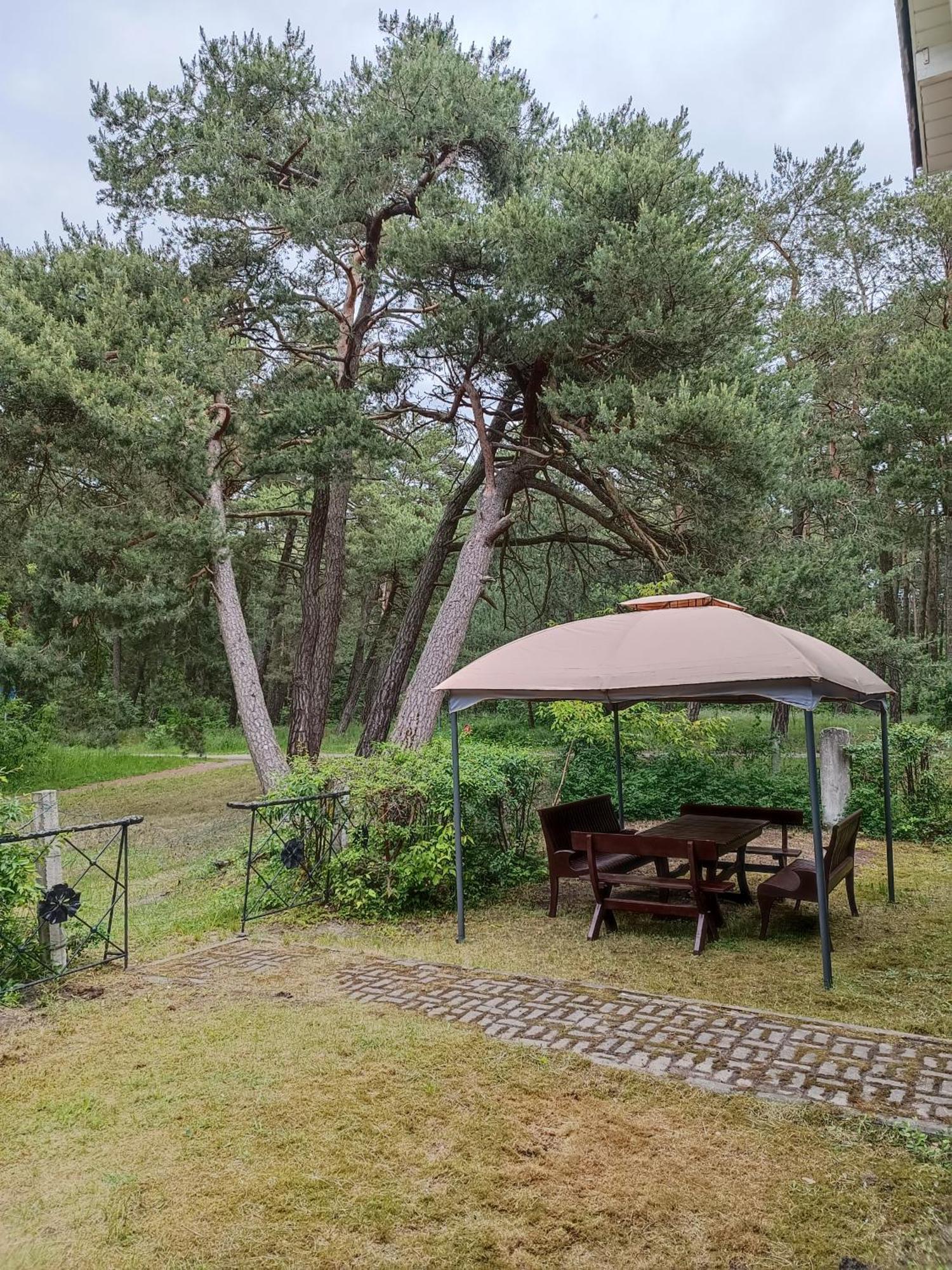 Surf Apartments In Melnrage Klaipeda Bilik gambar